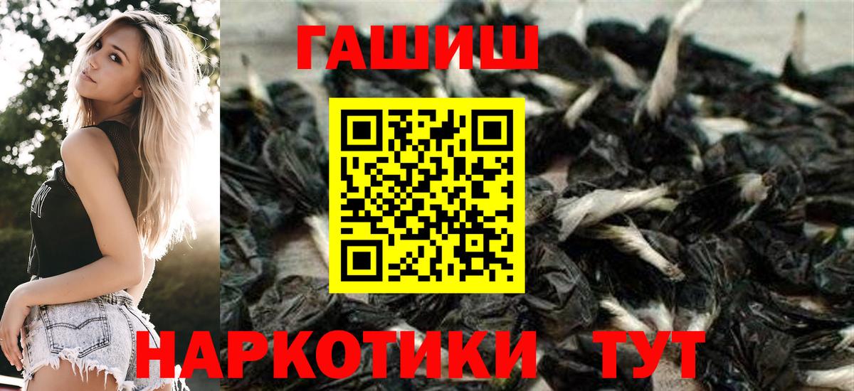 Псилоцибиновые грибы Новоалександровск