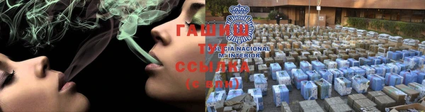 ECSTASY Алзамай