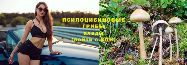 ECSTASY Алзамай