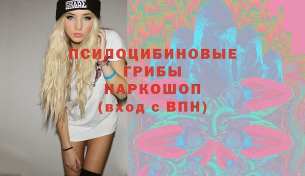 ECSTASY Алзамай