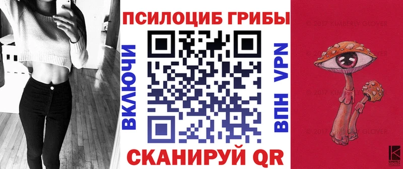 Псилоцибиновые грибы Cubensis Новоалександровск