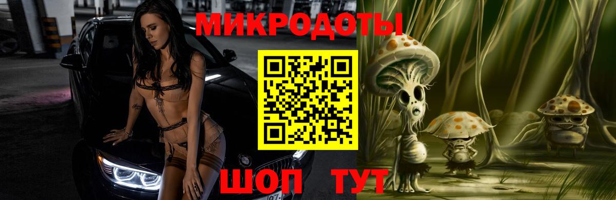 Галлюциногенные грибы Psilocybe Новоалександровск