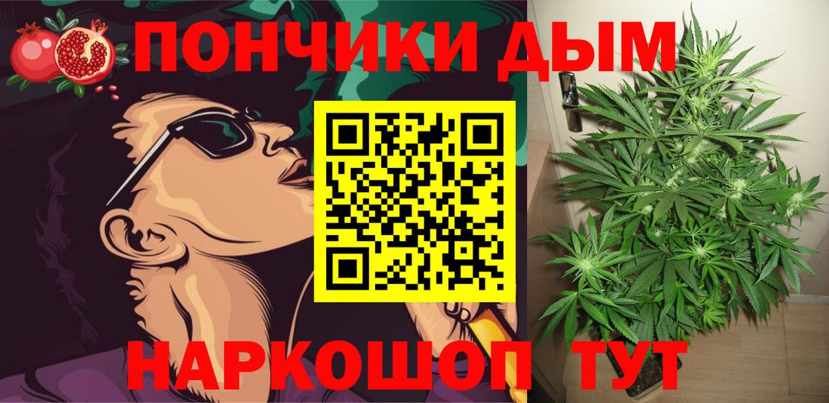 Шишки марихуана марихуана Новоалександровск